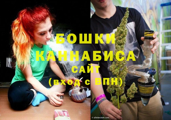 ешки Бородино