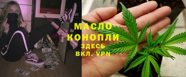 ешки Бородино