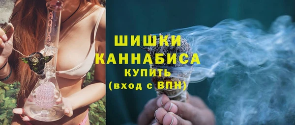 ешки Бородино