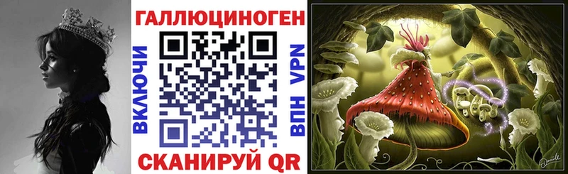 Галлюциногенные грибы Psilocybe  Давлеканово 